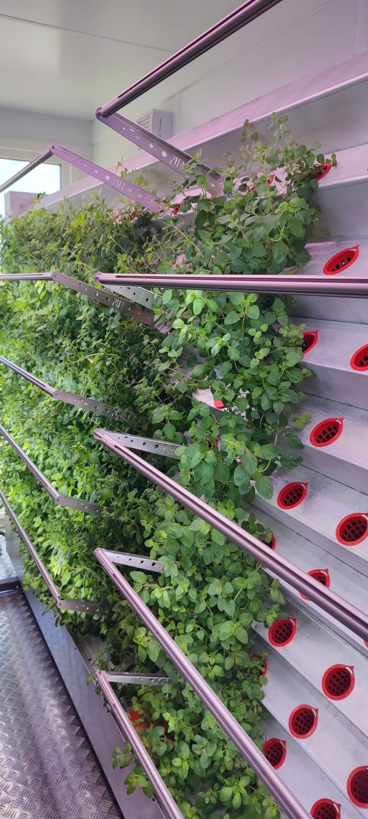 Inboxing-Farming-Modul IMG-20240612-WA0023.jpg