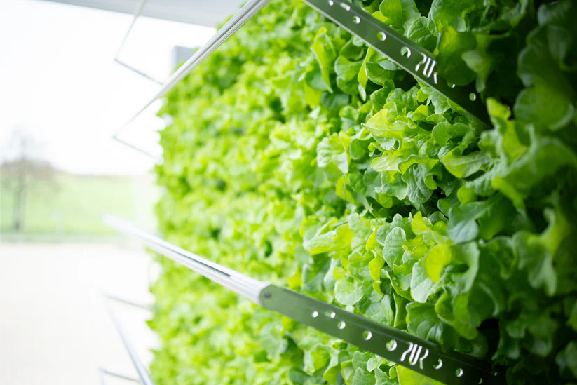 Inboxing-Farming-Modul PUR4.webp