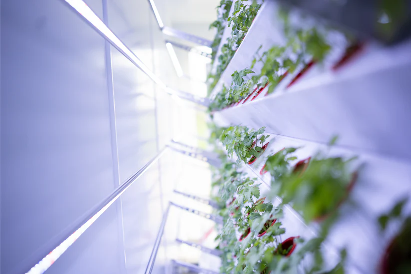 Inboxing-Farming-Modul PUR5.webp
