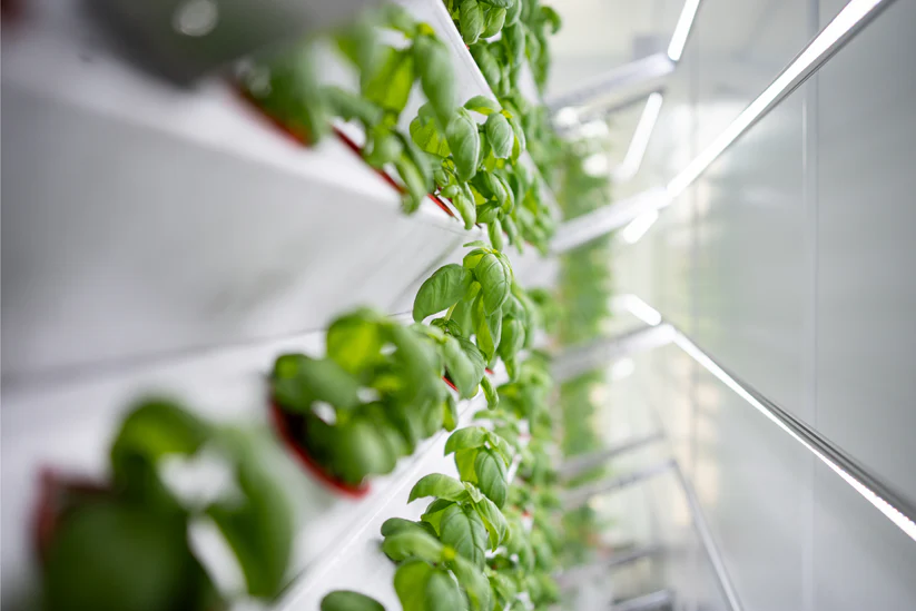Inboxing-Farming-Modul PUR6.webp