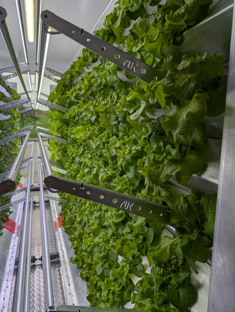 Inboxing-Farming-Modul PXL_20240404_085428340.webp