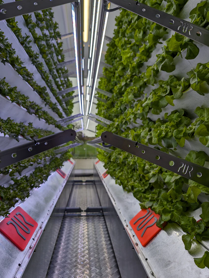 Inboxing-Farming-Modul PXL_20240404_085437131.webp