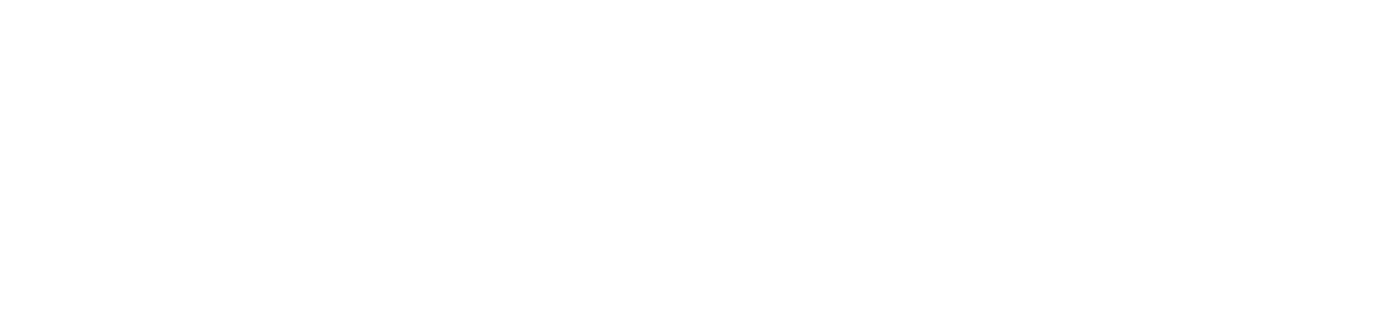 SMASS - Smart System Solutions Logo